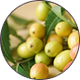 NEEM