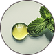 PEPPERMINT OIL